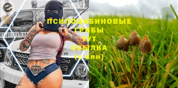 MDMA Богородицк