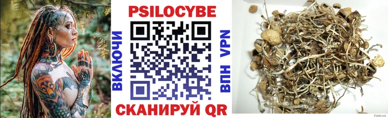 Галлюциногенные грибы Psilocybine cubensis  Волжск 