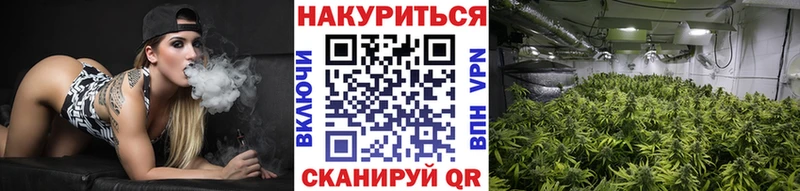 Шишки марихуана White Widow  что такое   Волжск 
